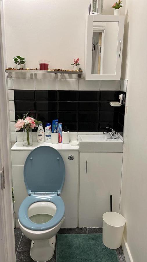 Lovely Apartment Close To Acton Central Station ลอนดอน ภายนอก รูปภาพ
